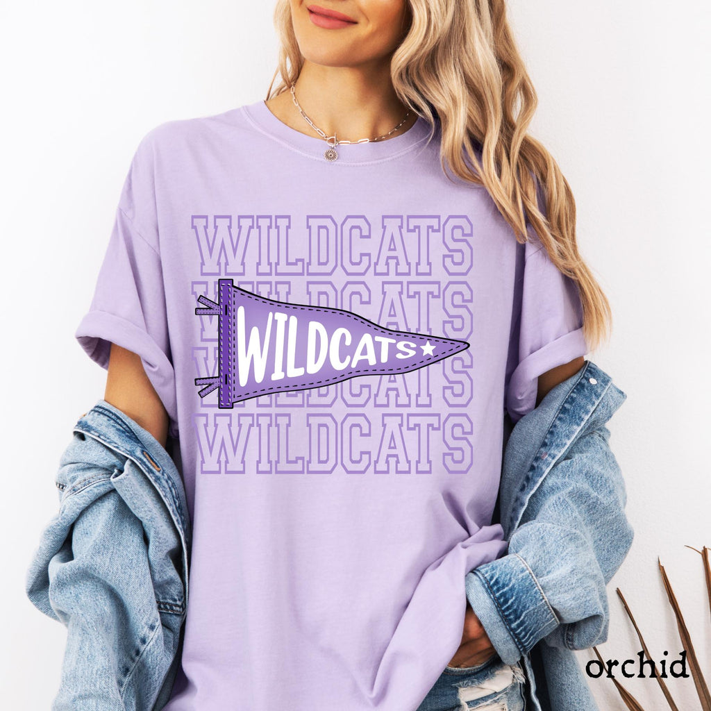 Comfort Colors© Personlaized Mascot Pennants Flag Shirt, Watercolor Pennant Mascot Shirt, School Spirit Shirt, Matching Team Cheer Mom shirt