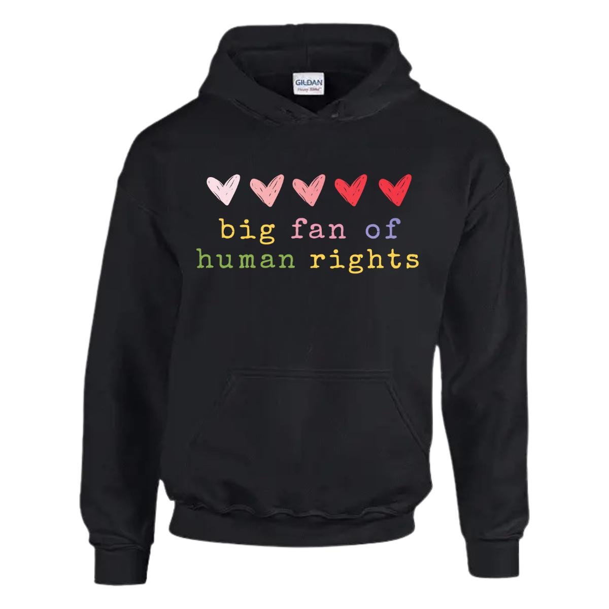 Big Fan of Human Rights Hoodie, Social Justice Gift, Equality Hoodie, Human Rights Matter, LGBTQ Ally Gift, Activist Gift, Feminist Hoodie