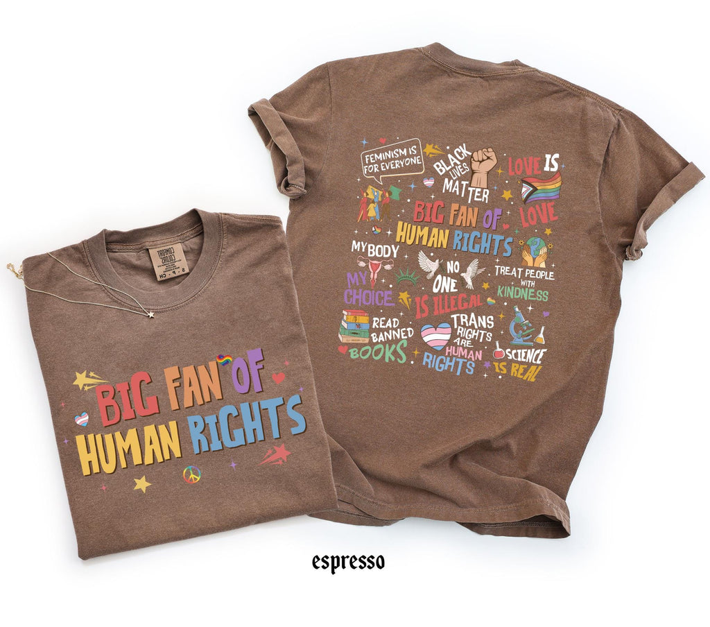 Big Fan Of Human Rights Shirt, Comfort Colors Equality T-Shirt, Social Justice Gift For Activist, Protest Anti Trump Rainbow LGBT Tee